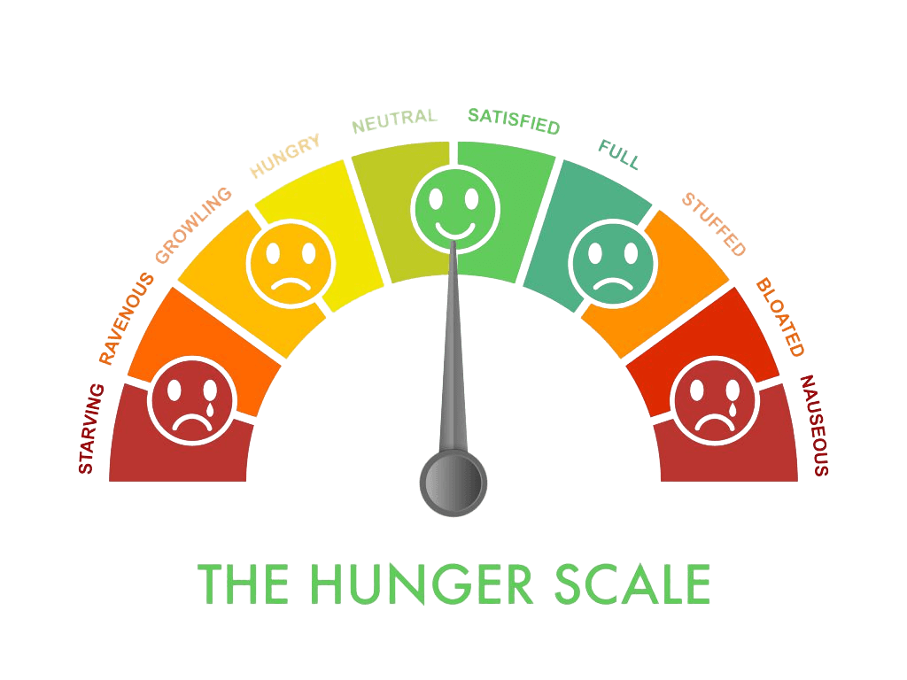 The hunger scale graphic